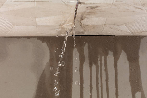 Professional Structural Drying technician working in Bear Lake, MI